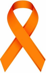 4th Annual Allie’s Army 5K Run / Walk to benefit the Brunas family