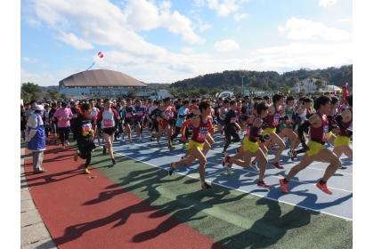 50th Anniversary of the Oshima Great Bridge Opening, 41st Southern Seto Oshima Road Race (大島大橋開通50周年　第41回サザン・セト大島ロードレース) Logo
