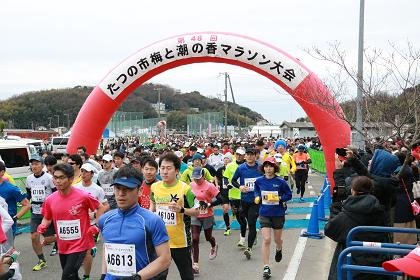 55th Tajino City Plum and Sea Breeze Marathon (第55回たつの市 梅と潮の香マラソン)