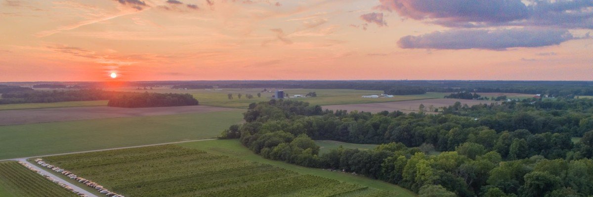 5k Harvest Wine Run at Stoney Ridge Winery