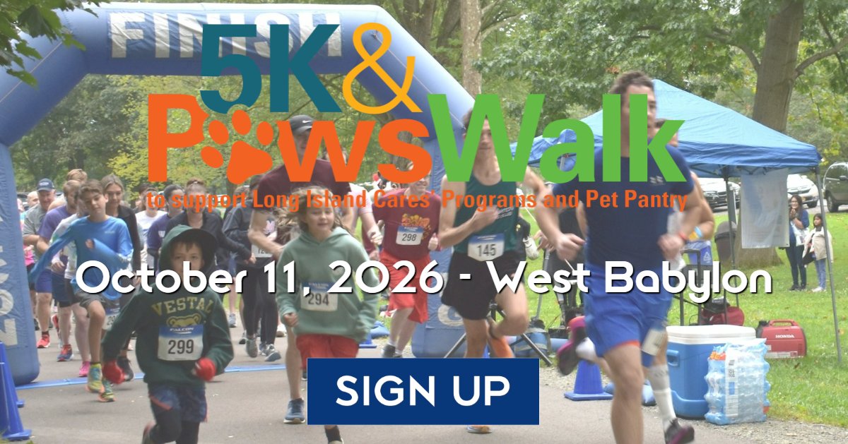 5K & Paws Walk 2026 Logo