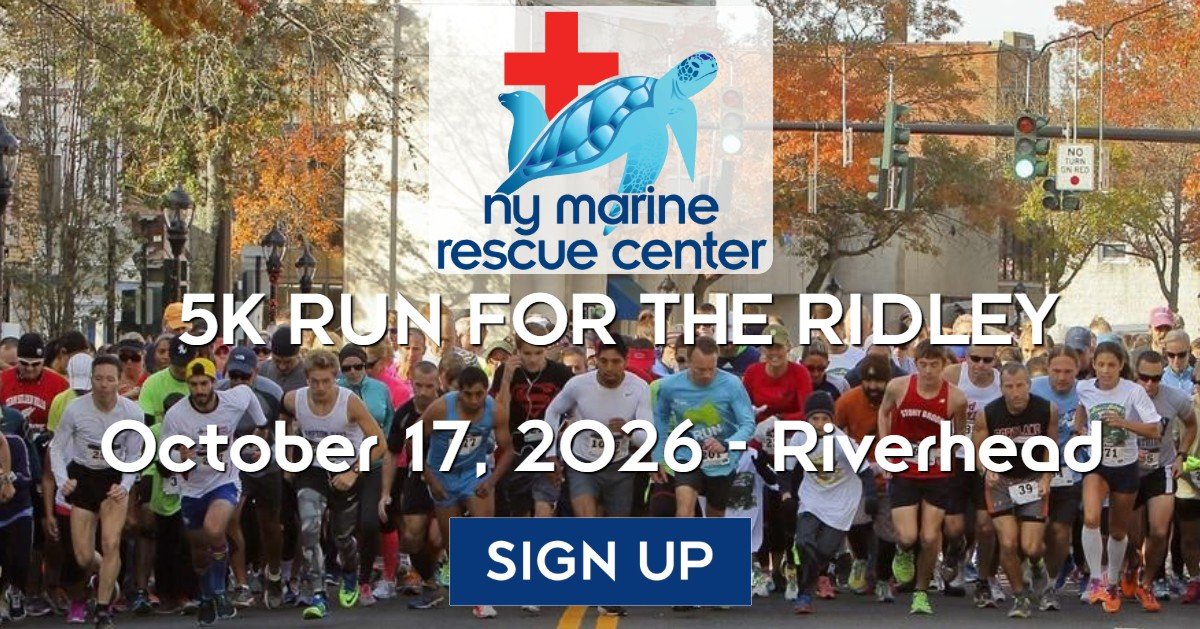 5K Run for the Ridley 2026 Logo
