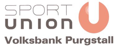 6. Purgstaller Marktlauf