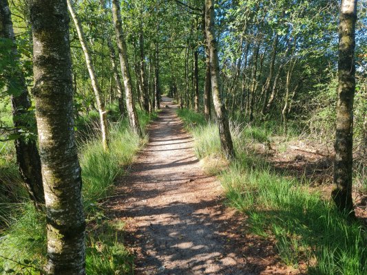 60e OLAT Dagwandeltocht