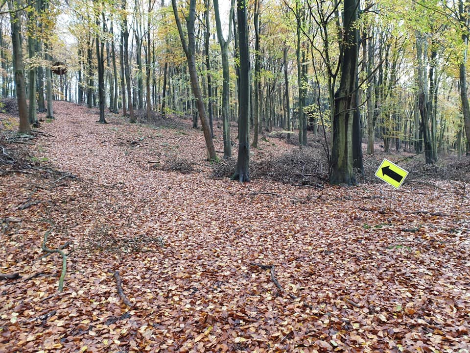 666 Trail Run Logo