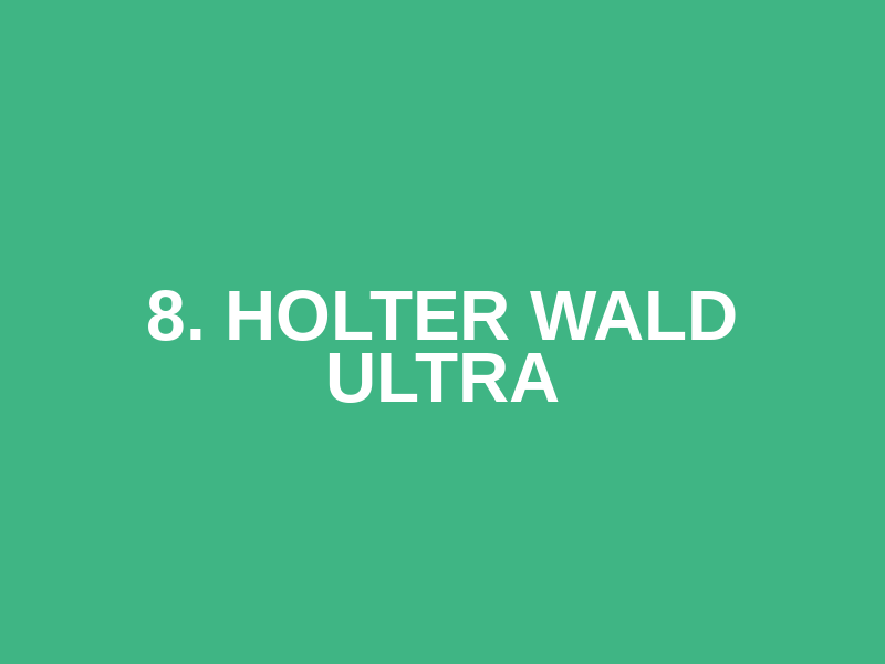 8. Holter Wald Ultra Logo