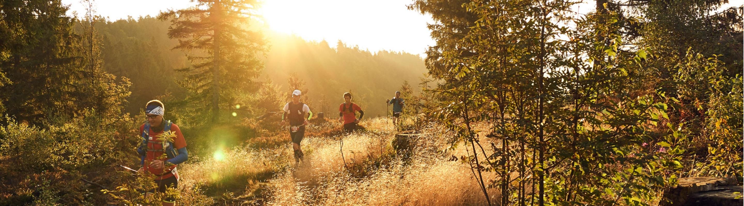 9. ARBERLAND Ultra Trail Logo