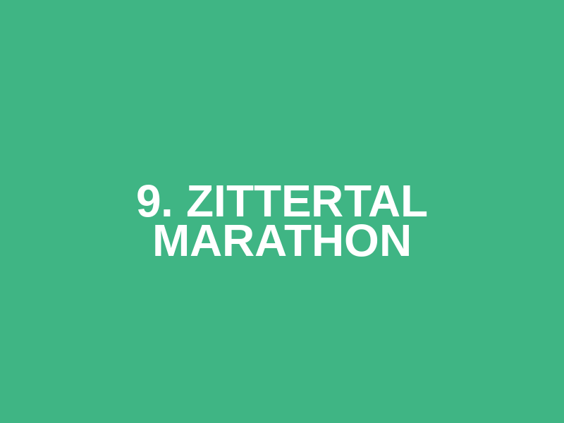 9. Zittertal Marathon Logo