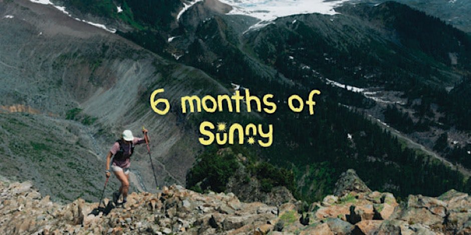 A Sunny 6 months celebration