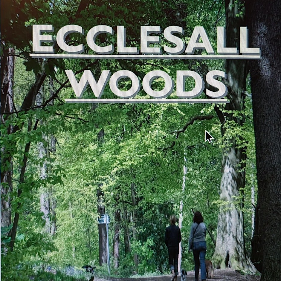 A Walk Through Ecclesall Woods