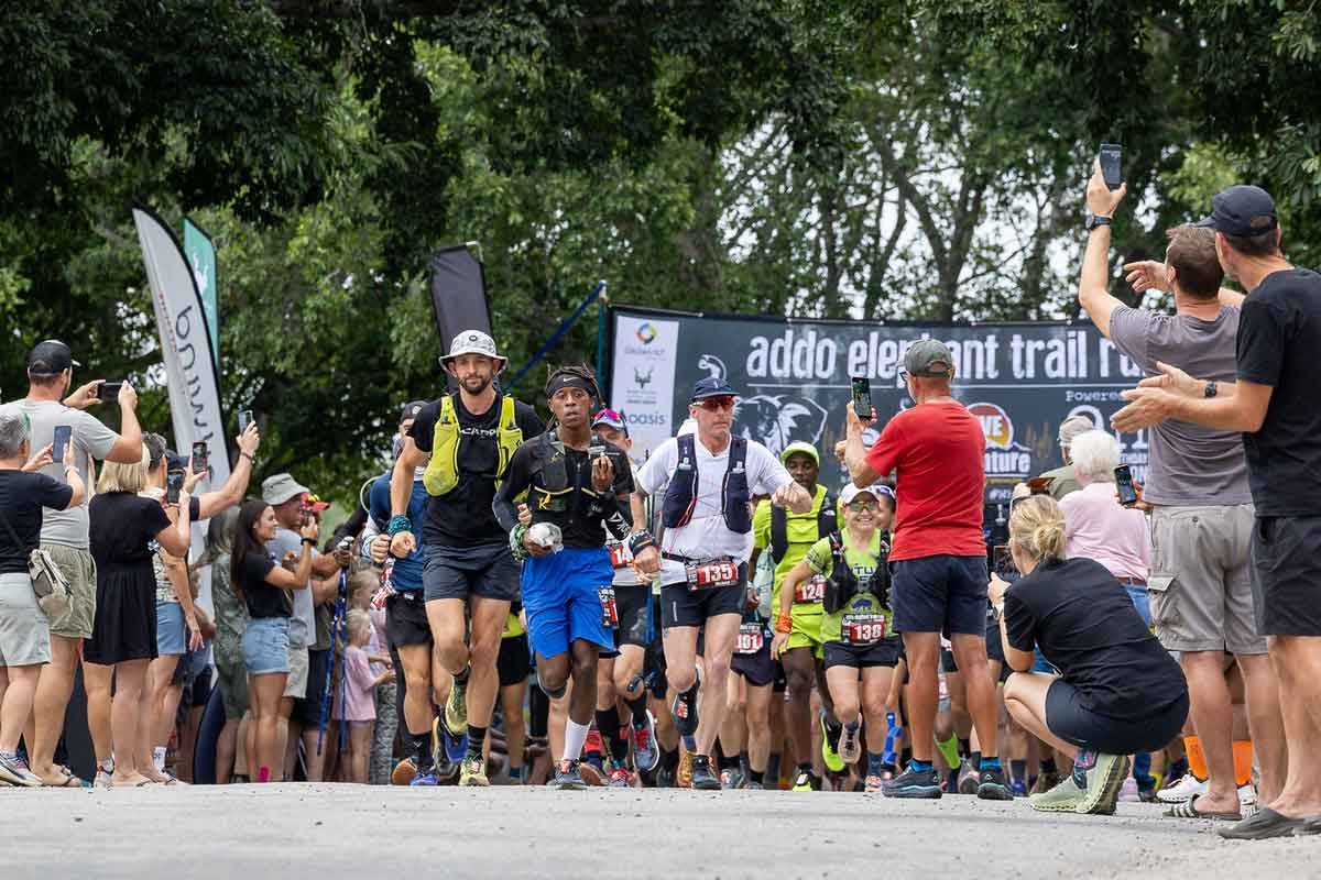 Addo Elephant Trail Run Logo