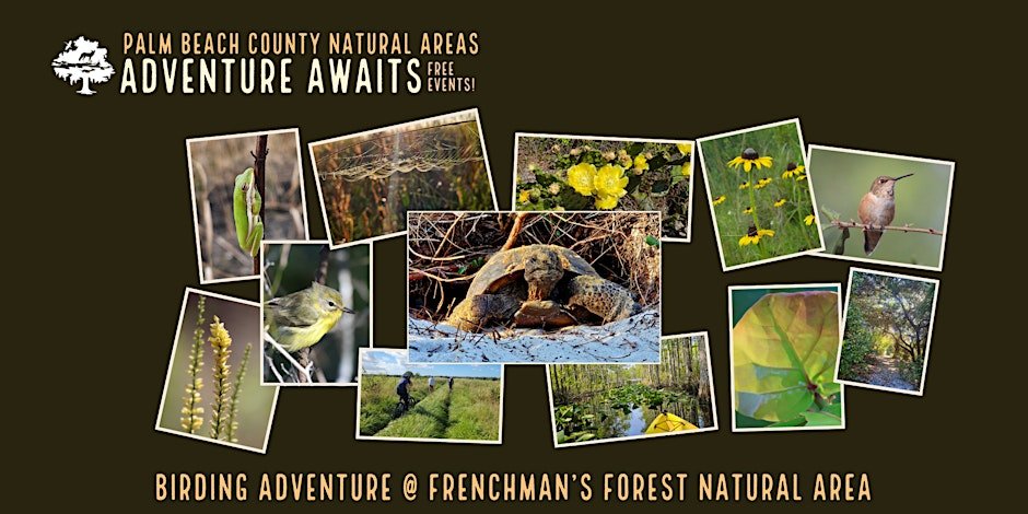 Adventure Awaits -Birding Adventure @ Frenchman's Forest