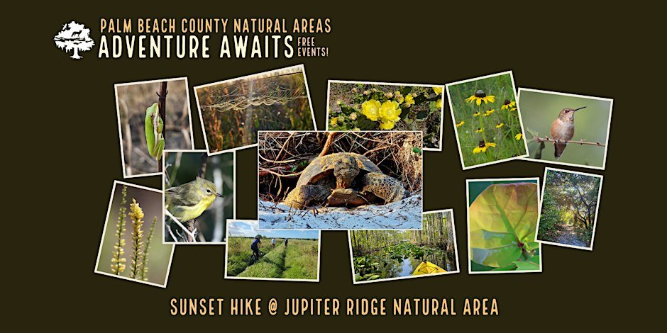 Adventure Awaits - Sunset Hike @ Jupiter Ridge Logo