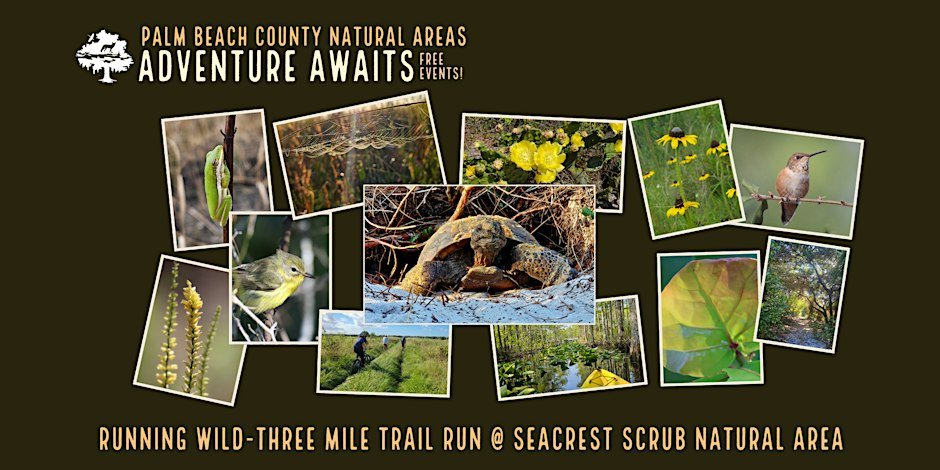 Adventure Awaits - Three Mile Sunset Trail Run @ Seacrest Scrub