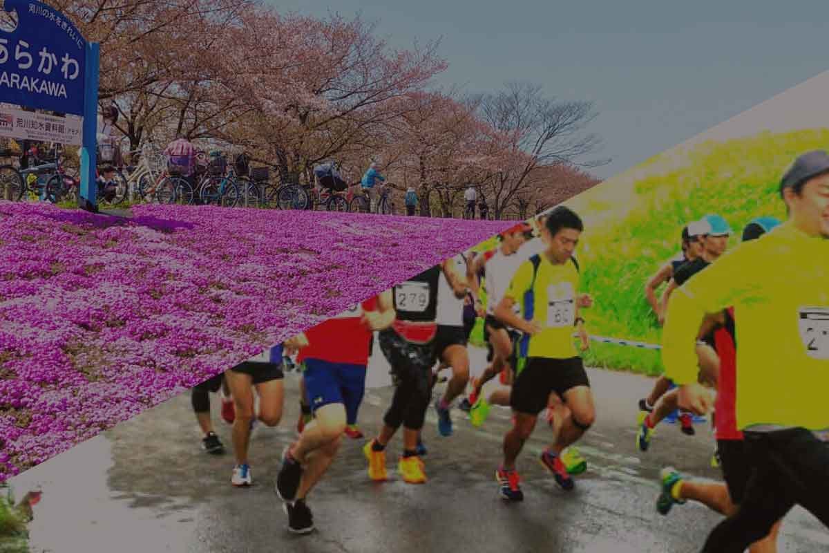 Akabane Sakura Marathon