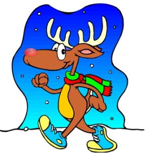 Anderson Area YMCA Reindeer Run Logo