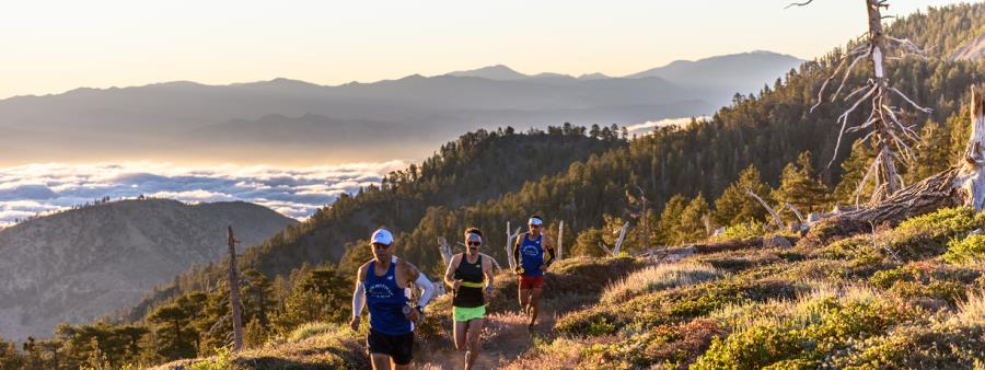 Angeles Crest 100 Mile Endurance Run