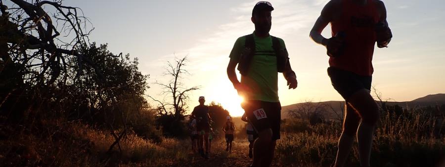 Anza Borrego Cuyamaca 50 Mile Run Logo