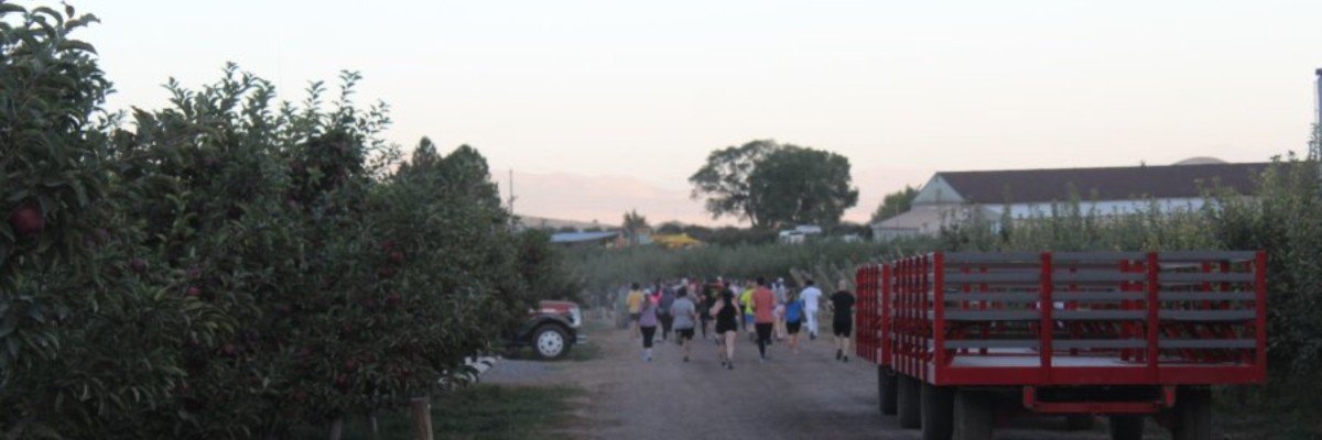 Apple Harvest Run - 10K - 5K - 1 Mile