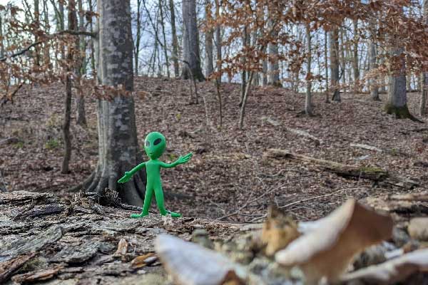 Area 51 5k/12k Trail Race