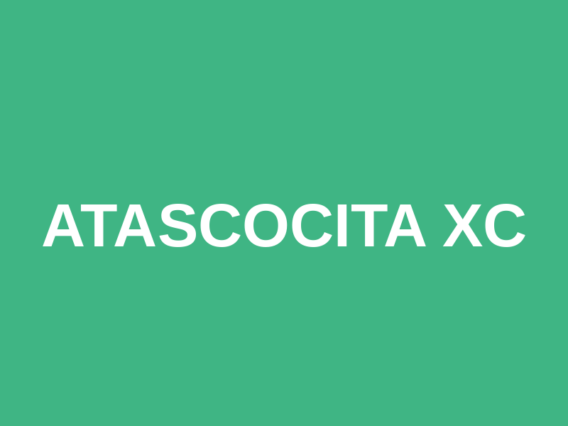 Atascocita XC