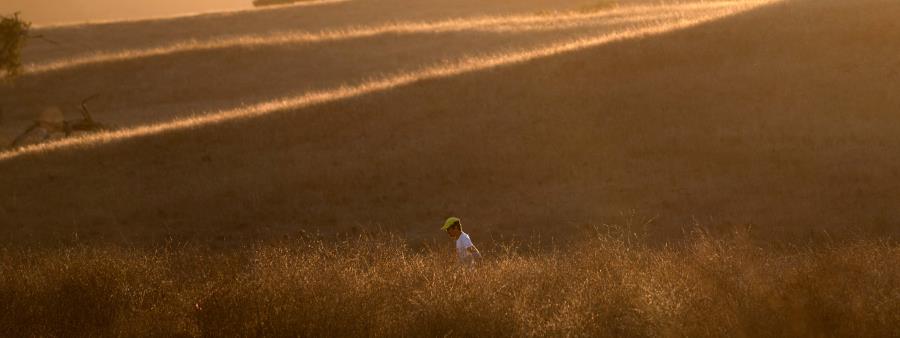 Back On The Ranch Trail Run