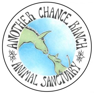 Backyard Run / Walk for the Animals