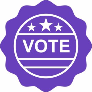 Badgerland Striders Board of Directors Elections - Please Read the Candidate Bio's below before VOTING