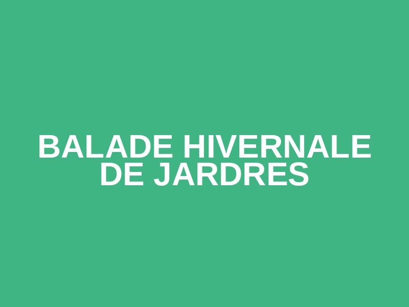 Balade Hivernale de Jardres Logo