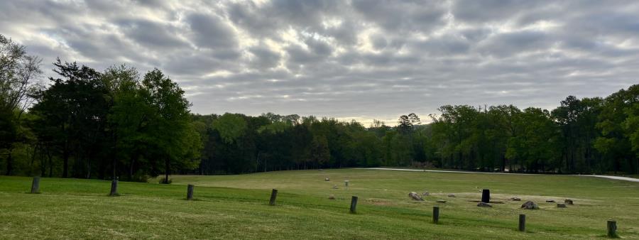 BALS Backyard