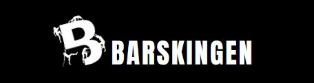 Barskingen OCR 2027 Logo