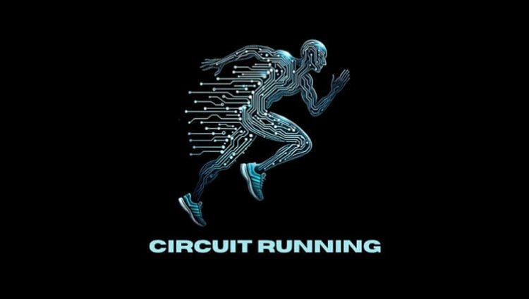 BATTLE OF STAMFORD BRIDGE RUN YORK Logo