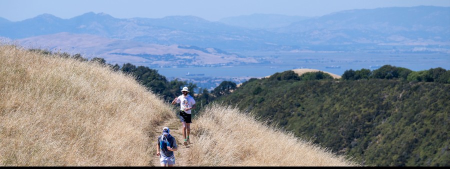 Bay Area 100 Logo