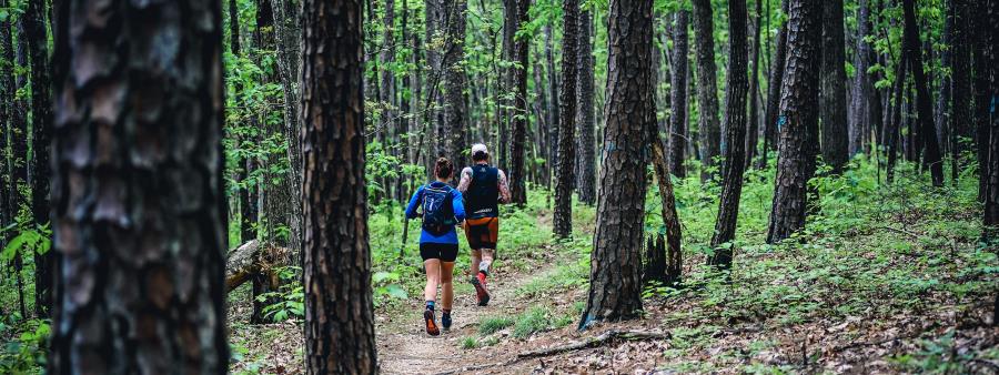 Berryman 50 mile and Marathon Trail  Races Logo