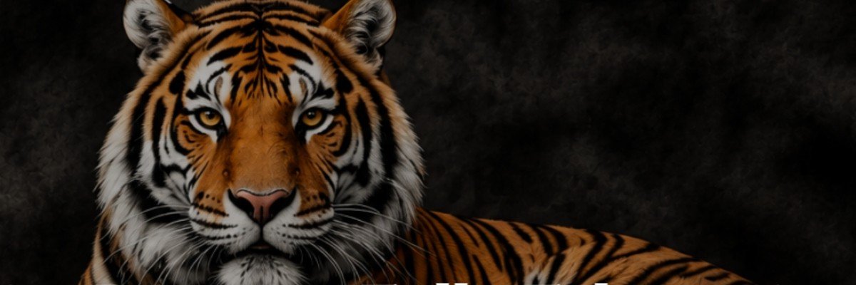 Big Beaver Falls Education Foundation "Tiger Trot"