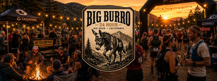 Big Burro 24HR Logo