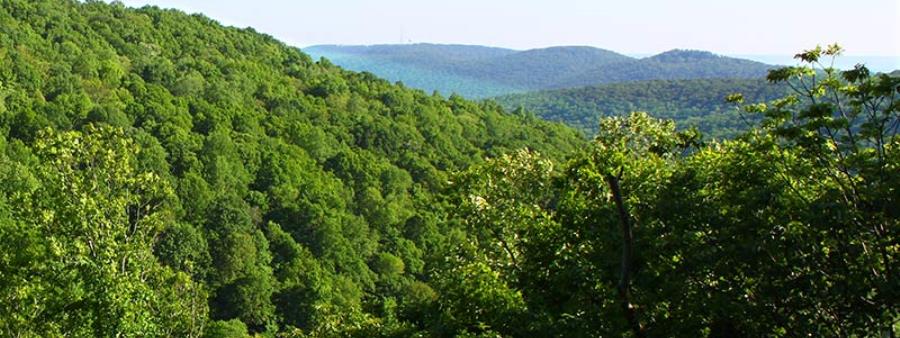 Big Foot Trail Run