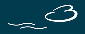 Binzer Silvesterlauf Logo