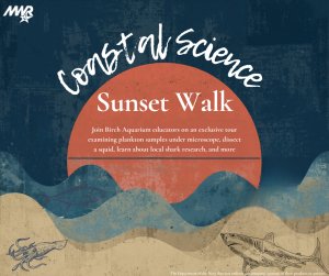 Birch Aquarium - Sunset Pier Walk