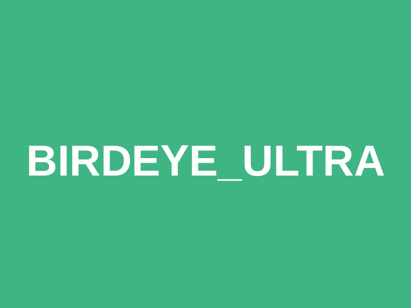 Birdeye_Ultra