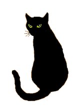 Black Cat Classic 5K