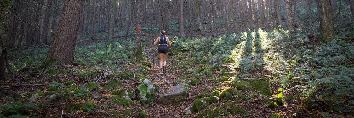Black Forest Ultra 100k