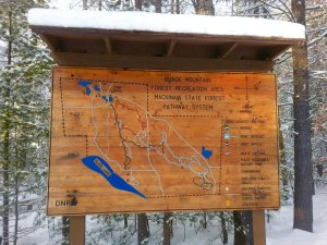 Black Mountain Nordic Races