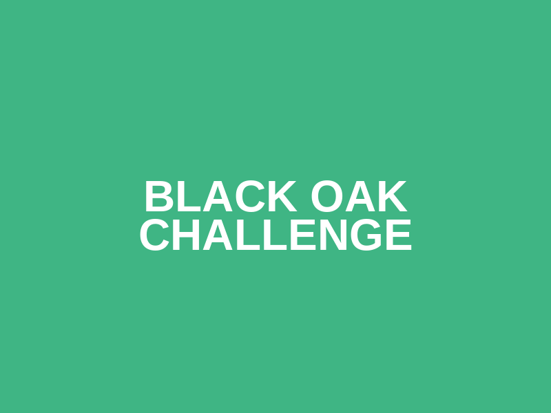 Black Oak Challenge