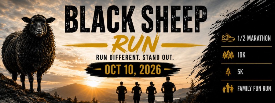 Black Sheep Race Logo