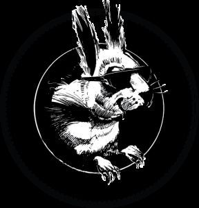 Black Squirrel Half Marathon