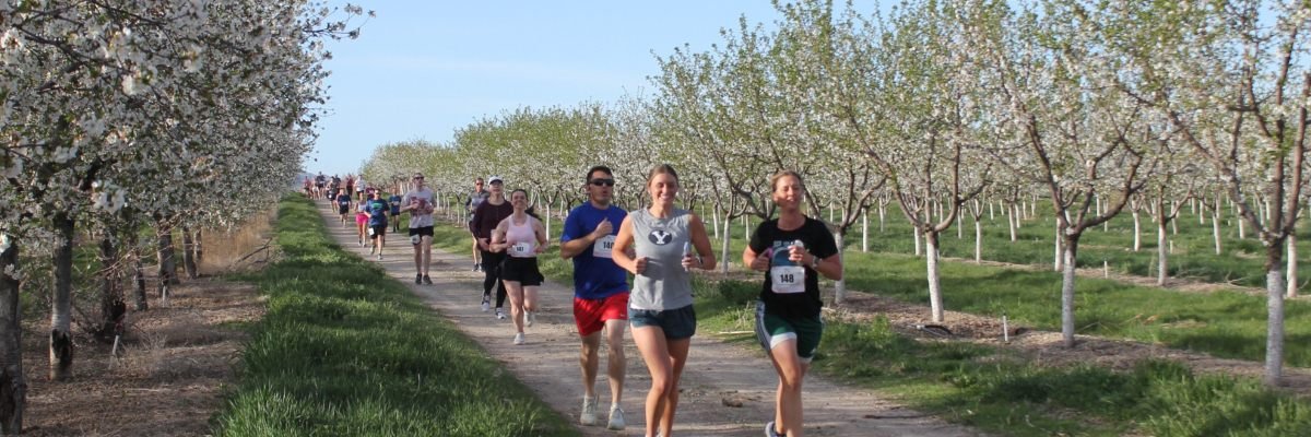 Blossom Run 10K, 5K, 1 Mile