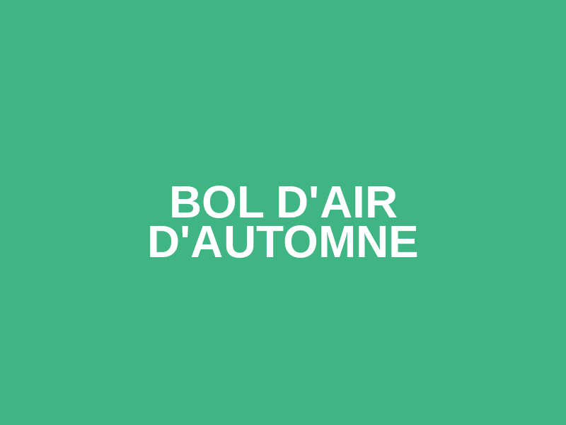 BOL D'AIR D'AUTOMNE Logo