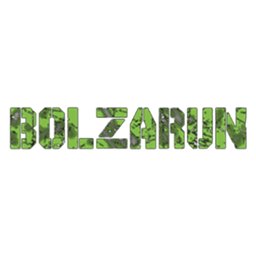 Bolzarun Logo