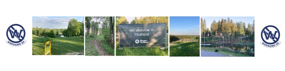 Borgen Outdoor Run